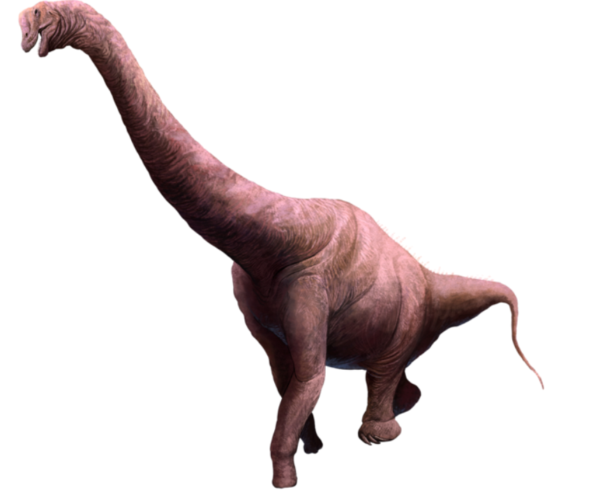 首 の 長い 恐竜 ブラキオサウルス